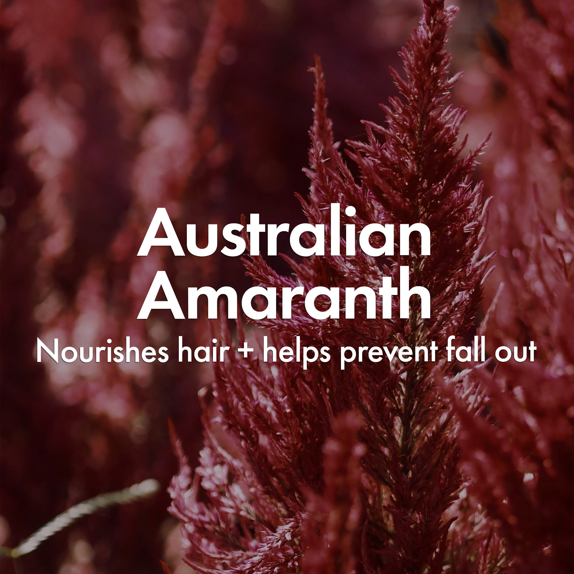 VOLUMISING STYLING SPRAY - Image 6